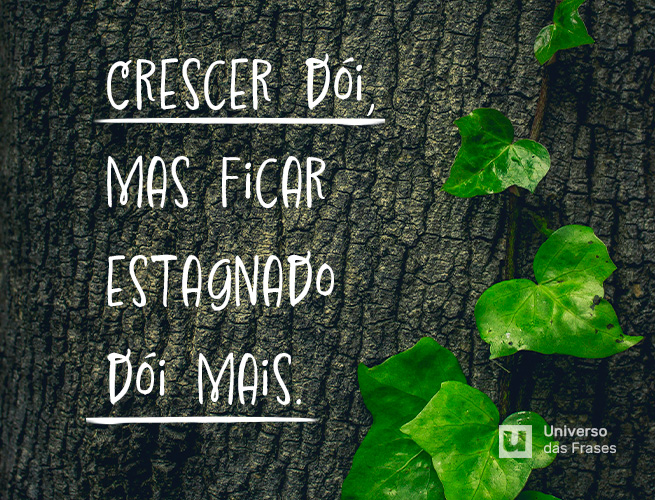 Frase de reflexão sobre a vida