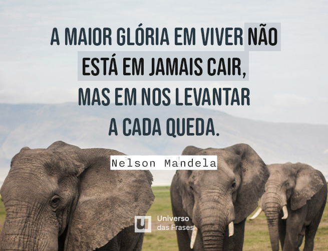 Frase de reflexão sobre a vida