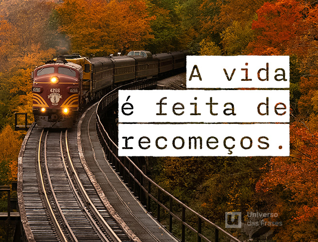Frase de reflexão sobre a vida