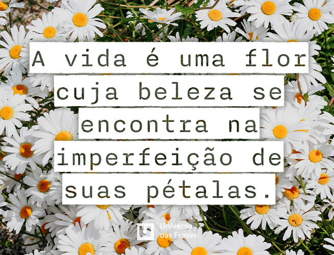 Frase de reflexão sobre a vida