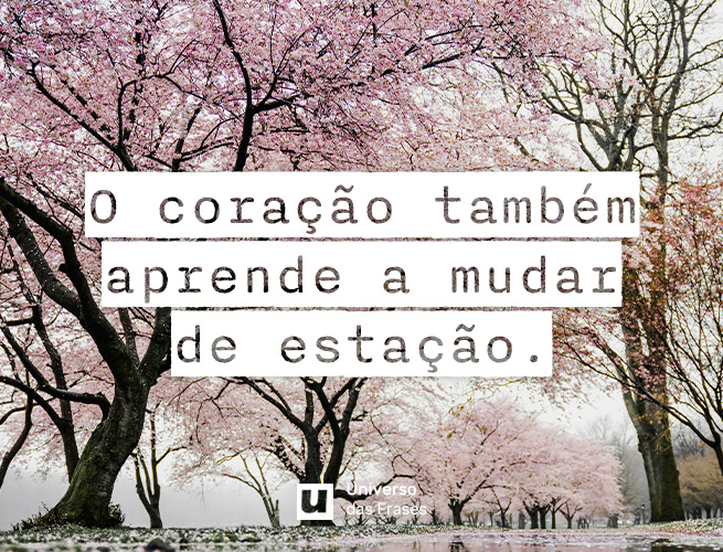 Frase de reflexão sobre a vida