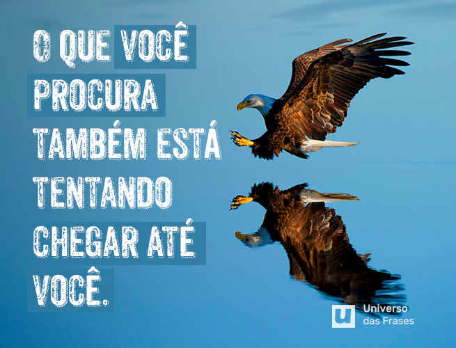 Frase de reflexão sobre a vida
