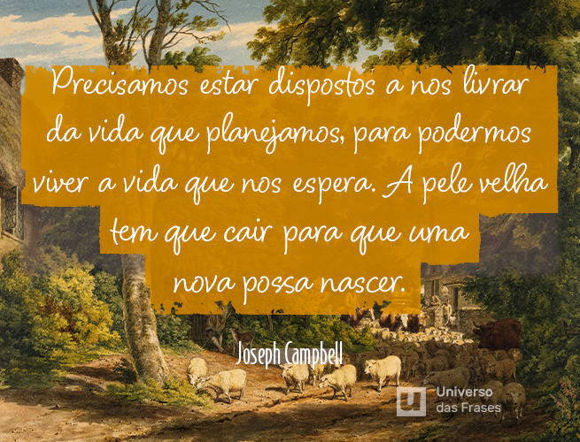 Frase de reflexão sobre a vida